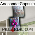 Anaconda Capsule 38